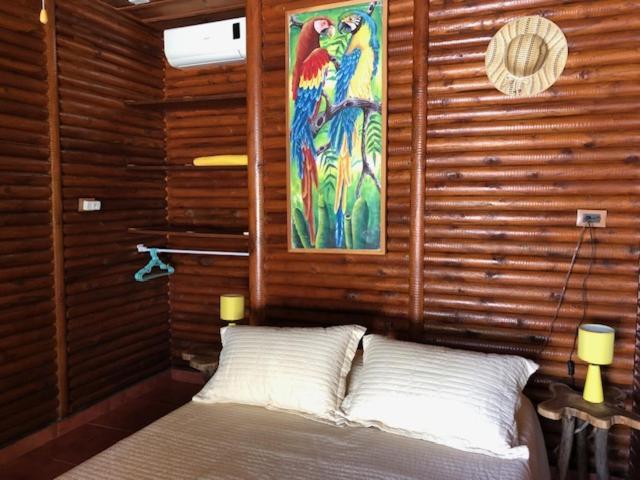 Casa Toucan Mit Privat Pool Near Np Ballena Uvita Exterior photo