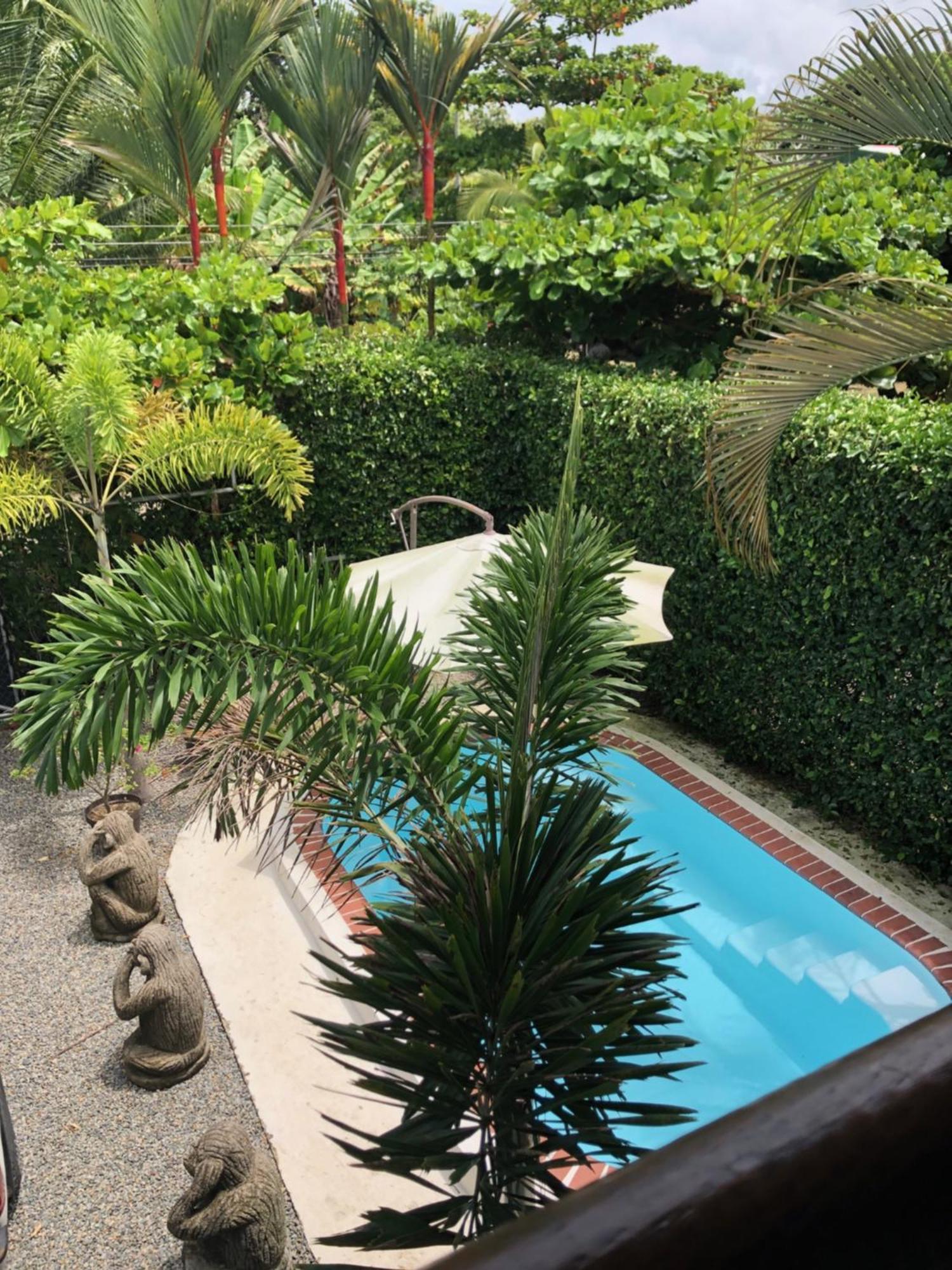 Casa Toucan Mit Privat Pool Near Np Ballena Uvita Exterior photo