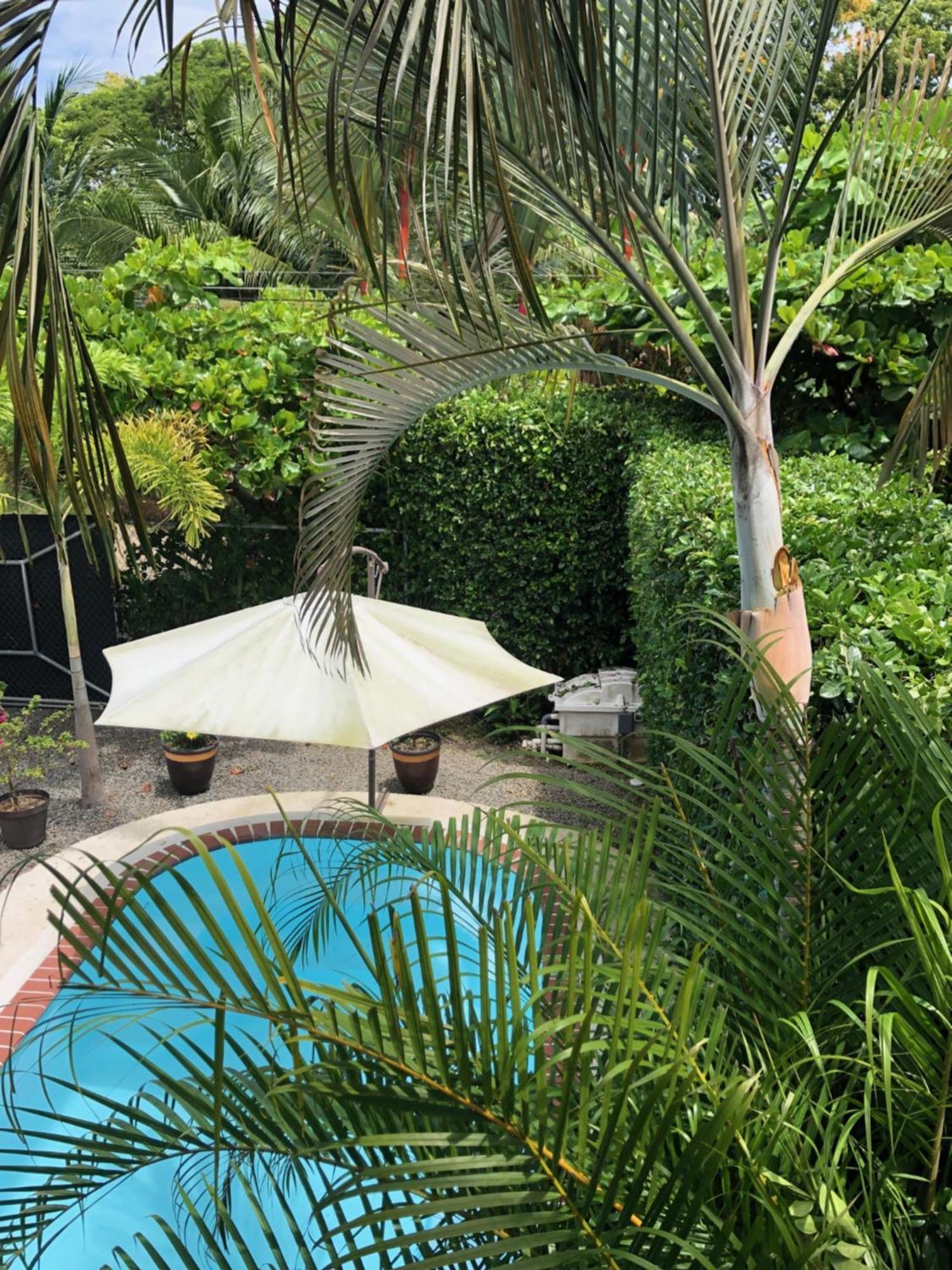 Casa Toucan Mit Privat Pool Near Np Ballena Uvita Exterior photo
